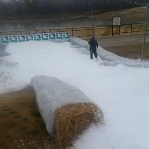 Lake View Snow Party