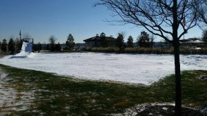 Snow themed party