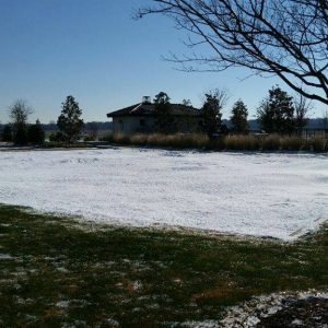 Snow themed party