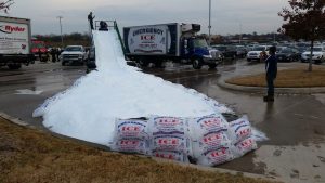 Order snow for a party