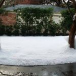 Fill your yard with snow