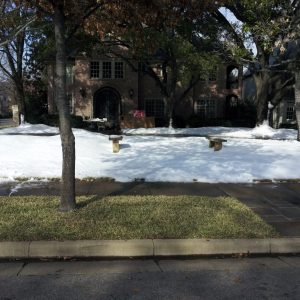 Real snow machine